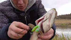 Крутая рыбалка на щуку!!! Щука в ноябре!!