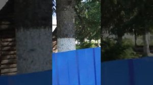 ГЛОТОВКА.УЛЬЯНОВСКАЯ ОБЛ.ИНЗЕНСКИЙ РАЙОН.