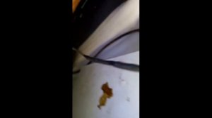 кабель подогрева leaf