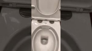 Унитаз подвесной безободковый Geberit Keramag Icon Rimfree F204060000 без сиденья