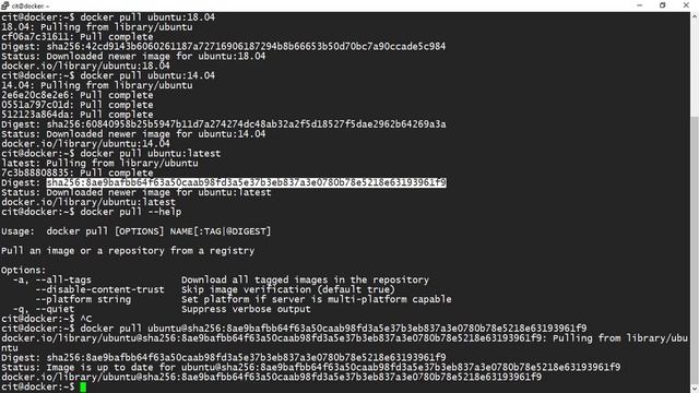 126# Télécharger et filtrer les images Docker смотреть онлайн