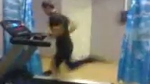 На беговой дорожке максимальная скорость