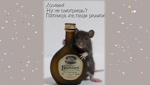 С ПЯТНИЦЕЙ! Прикольное Видео! Классных выходных! Друзьям с пятницей/Песня с пятницей 2022