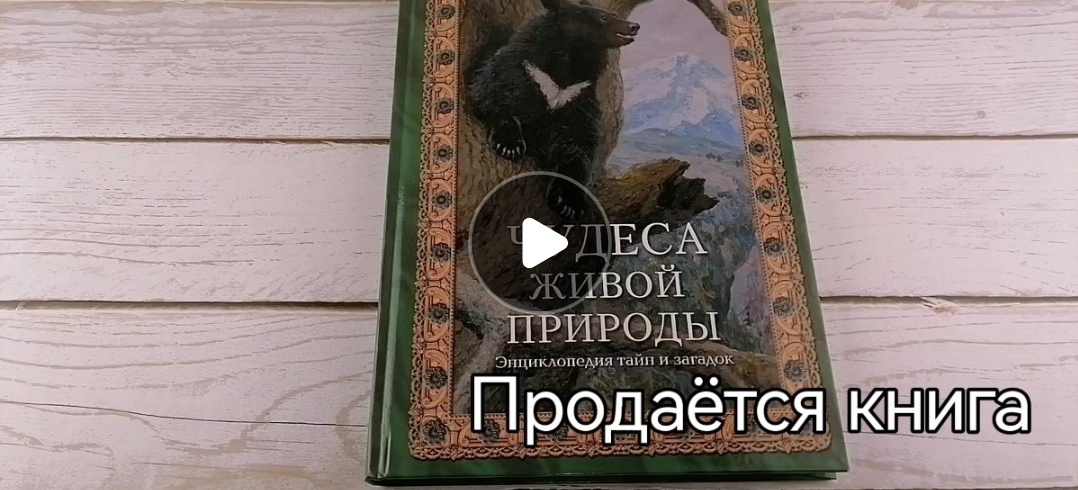 Книга