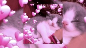 Aqua - Barbie Girl (speed up)