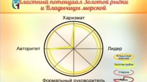 Маркетинг и менеджмент. Лекция 1.2. Технологии принятия управленческих решений.mp4