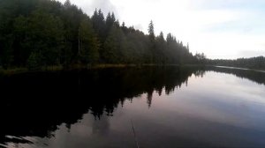 озеро Семененки РОССОНСКИЙ РАЙОН витебская область РЫБАЛКА В БЕЛАРУСИ