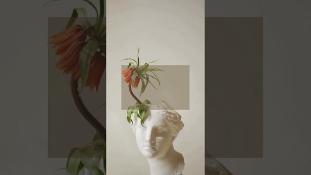 Не бойтесь своих эмоций #shorts #психология #сила #жизнь смотреть онлайн