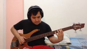 Lee Ritenour feat. Marcus Miller - Rio Funk Bass Cover