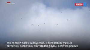 «Газпромнефть-Ямал» подвел итоги традиционного экомониторинга