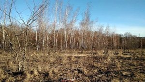 Проверка квадрокоптер F450 после замены барометра и установки GPS