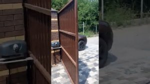 Рычажная Автоматика на распашные ворота Nice Hippo 7005