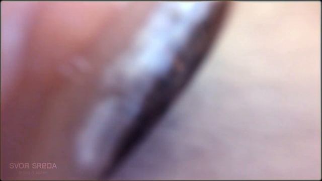 SVOЯ SREДА -ЛАМИНИРОВАНИЕ РЕСНИЦ смотреть онлайн