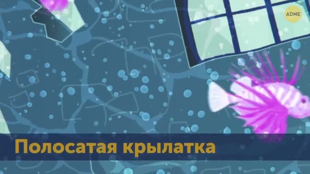 70+ необычных морских существ, которых вы будете бояться больше, чем акул смотреть онлайн