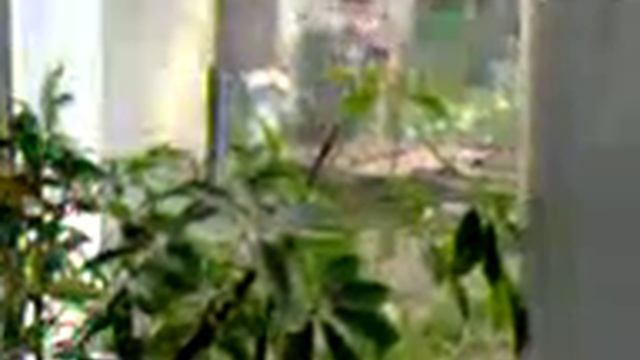 пгтСарата Железный стол под окном соседей и 70 летний неадекват. смотреть онлайн