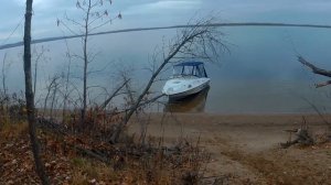 Осенняя рыбалка на Волге. Ловля жереха с лодки на троллинг.