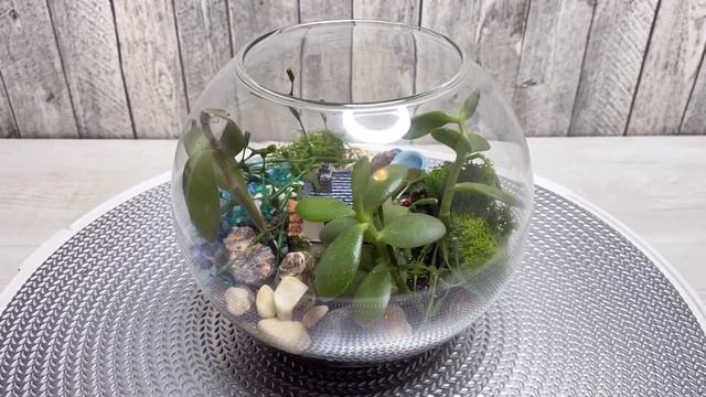 Флорариум "Хижина в лесу". смотреть онлайн