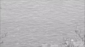 The Giver - Rosemary's piano theme (with an ending)