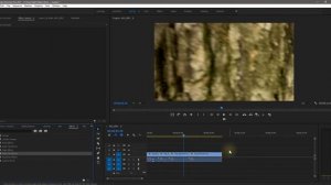 Переходы на все клипы сразу, как выбрать маркеры в Premiere Pro