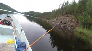 Игра воблера Cotton Cordell Ripplin Red Fin