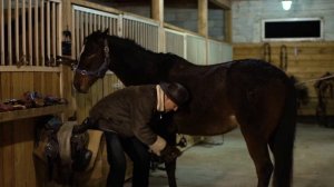 Планета лошадей. Бега. Как разводят породистых рысаков