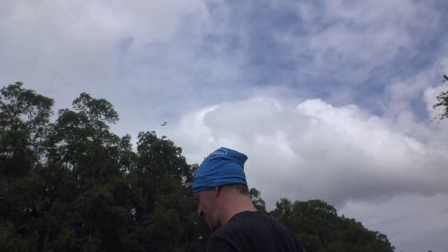 Анаконда и Питон. смотреть онлайн