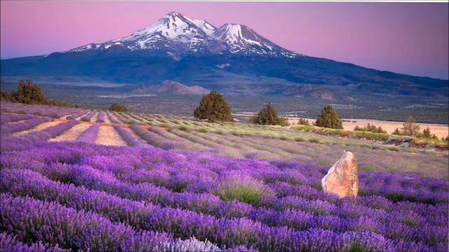 Тихое время с Живой Жизнью: Числа 28:16–31 (14072017) смотреть онлайн