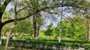 В парке "Молодой гвардии"