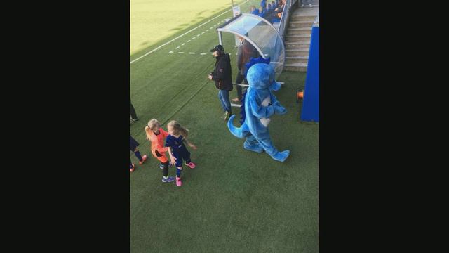 20171111 190533 смотреть онлайн