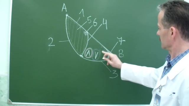 Топография мышечной и сосудистой лакун. Бедренный канал смотреть онлайн