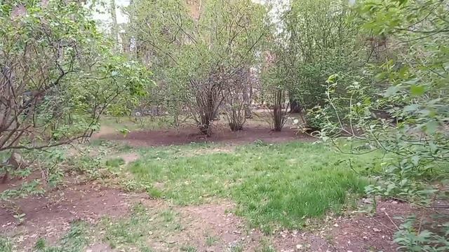 Гулятельное в Дендропарке на 8-е Марта