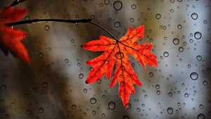 Христианские псалмы  Бога легко искать