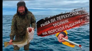 Настоящая морская рыбалка в Баренцевом море. Ловля трески. Отдых и развлечения в Мурманске.