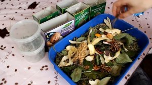 КОПОШИЛКА ДЛЯ ПОПУГАЕВ | КАК? ЗАЧЕМ?| PetMania