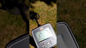 Whites treasure master