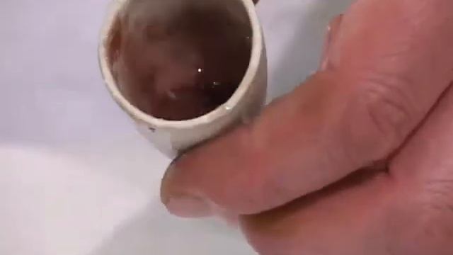 079 Выделение газа и изменение цвета признак химической реакции смотреть онлайн