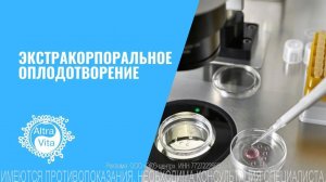 Что такое ЭКО?