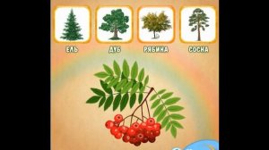 Обучающая игра для детей - Учим виды деревьев.