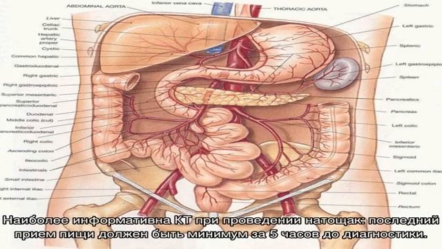 КТ органов брюшной полости ребенку в Москве смотреть онлайн