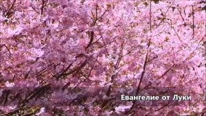 Евангелие от Луки Глава 2