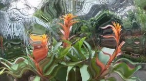 Тайский вояж Степановны