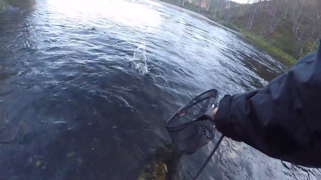 Рыбалка р. Ура смотреть онлайн