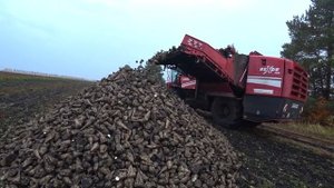 РАБОТА СВЕКЛОУБОРОЧНОГО  КОМБАЙНА (holmer Grimme Rexor 620)/НИКОЛАЕВ РУСЛАН