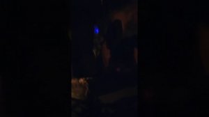 комната страха в парке Горького