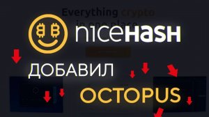 NiceHash добавил алгоритм Octopus. Прощай доходность CFX =(