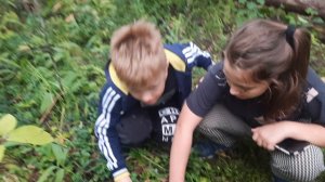 БЕЛЫЕ ГРИБЫ собираем с Парфёновыми. Часть 3.