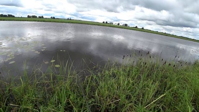 ШЕРП SHERP 2020 ЛЕТО КАРАСИ В НИЖНЕКАМСКЕ РЫБАЛКА НАЛОВИЛИ РЫБЫ ОТ ДУШИ ТАТАРСТАН смотреть онлайн