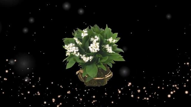 букет ландышей 5 смотреть онлайн