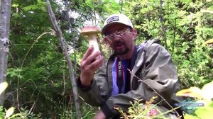 Телепутешествия HD(-Реклама на канале-)