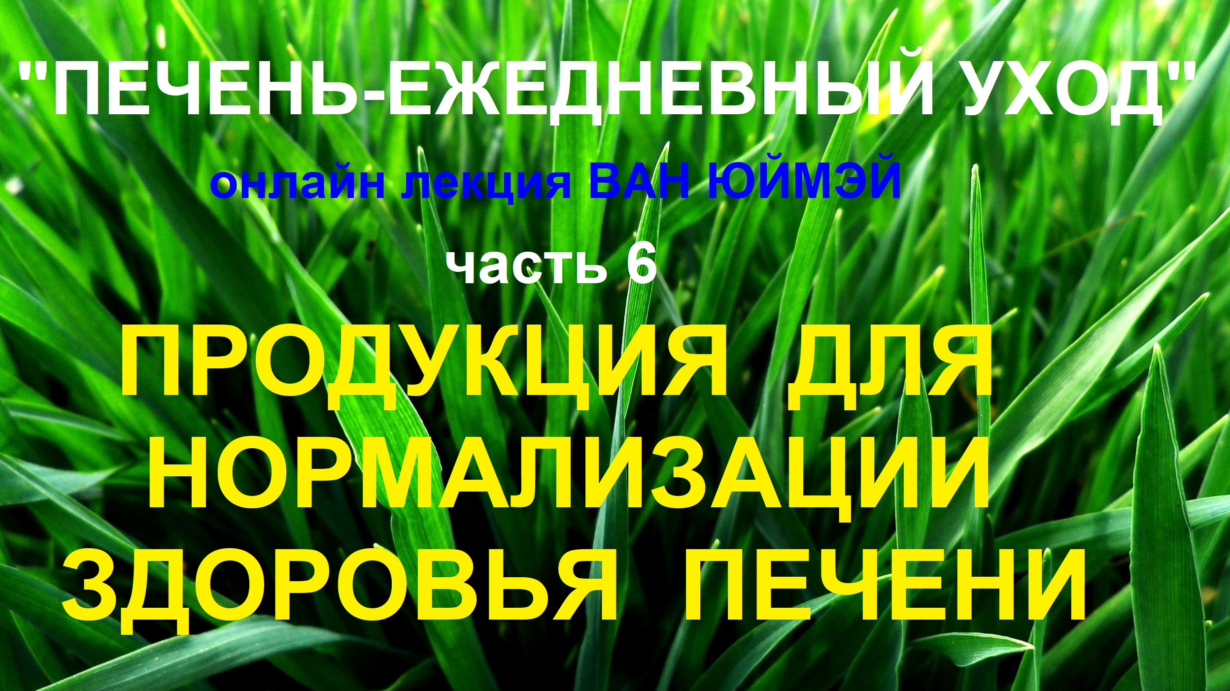 6.Продукция для нормализации здоровья печени.